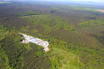 Oblique view of Sand-lime stone works Schencking GmbH & Co. KG, Bienwald plant in the district Büchelberg in Wörth am Rhein in the state Rhineland-Palatinate, Germany