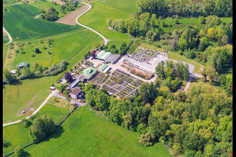 Bienwald-Baumschule GbR in Berg in the state Rhineland-Palatinate, Germany