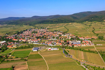 City view from the east in Deidesheim in the state Rhineland-Palatinate, Germany