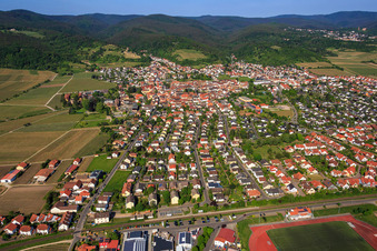 Overview of the town from the east in Wachenheim an der Weinstraße in the state Rhineland-Palatinate, Germany