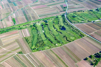 Golf course in Dackenheim in the state Rhineland-Palatinate, Germany from above