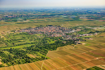 Overview of the town from the southwest in Weisenheim am Sand in the state Rhineland-Palatinate, Germany