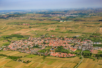 Overview of the town from the southeast in Freinsheim in the state Rhineland-Palatinate, Germany