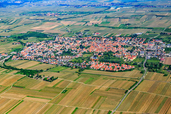 Aerial view of Overview of the town from the southeast in Freinsheim in the state Rhineland-Palatinate, Germany