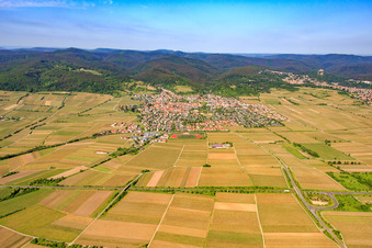 City view from the east in Wachenheim an der Weinstraße in the state Rhineland-Palatinate, Germany