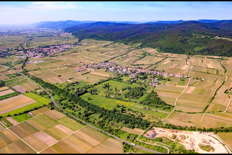 Village view with Forster Bruch from the northeast beyond the B271 in Forst an der Weinstraße in the state Rhineland-Palatinate, Germany