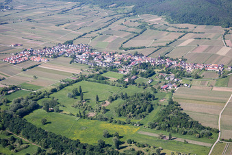 Village - view between the Forster Bruch and vineyards in Forst an der Weinstraße in the state Rhineland-Palatinate, Germany