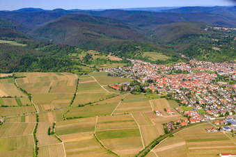 Aerial view of City view from the east in Wachenheim an der Weinstraße in the state Rhineland-Palatinate, Germany