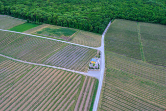 Oblique view of Vineyard Chapel in Bergtheim in the state Bavaria, Germany
