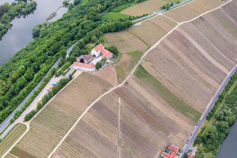 Fields of wine cultivation landscape Mainhang at the Vogelsburg in the district Escherndorf in Volkach in the state Bavaria, Germany