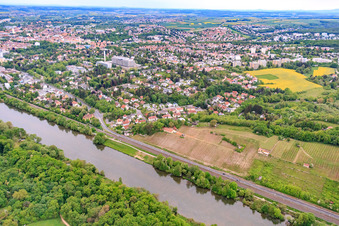 Aerial view of Vineyards of the Mainleite on the banks of the Main in Schweinfurt in the state Bavaria, Germany