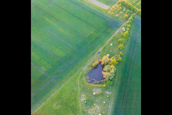Aerial view of Biotope in Schwebheim in the state Bavaria, Germany