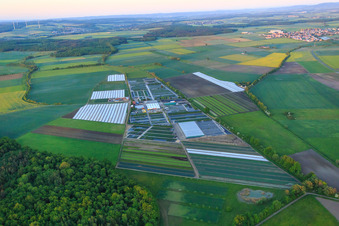 Horticulture Dieter Denzer in Grettstadt in the state Bavaria, Germany