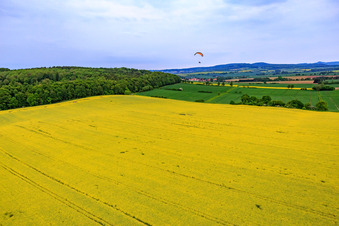 Aerial view of Rapeseed field XL in the district Güntersen in Adelebsen in the state Lower Saxony, Germany