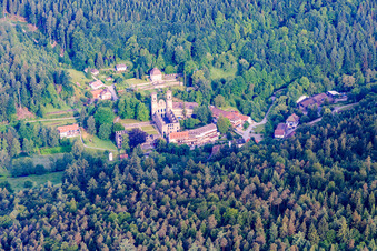 Oblique view of Frauenalb Monastery Ruins in the district Schielberg in Marxzell in the state Baden-Wuerttemberg, Germany