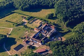 Horse boarding at the Liebfrauenberg Monastery in Bad Bergzabern in the state Rhineland-Palatinate, Germany out of the air