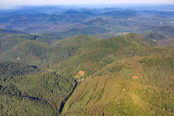 Böllenborn/Reisdorf