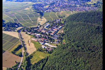 Palatinate Hospital for Psychiatry and Neurology from Norden in Klingenmünster in the state Rhineland-Palatinate, Germany