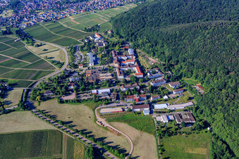 Aerial view of Palatinate Hospital for Psychiatry and Neurology from Norden in Klingenmünster in the state Rhineland-Palatinate, Germany