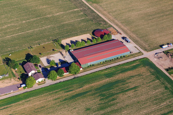 Aerial photograpy of Equestrian center Fohlenhof in Steinweiler in the state Rhineland-Palatinate, Germany