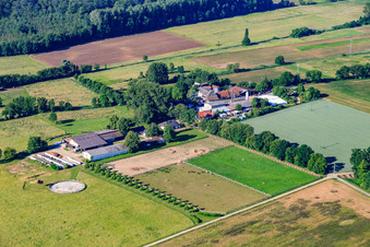 Aerial photograpy of Palatino Ranch in Steinweiler in the state Rhineland-Palatinate, Germany
