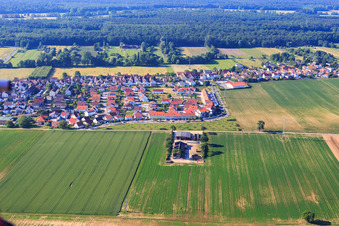 On the high trail in Kandel in the state Rhineland-Palatinate, Germany