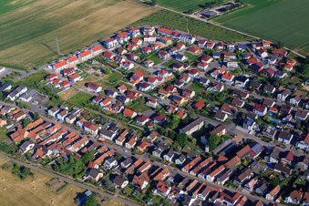 Vineyard Path in Kandel in the state Rhineland-Palatinate, Germany