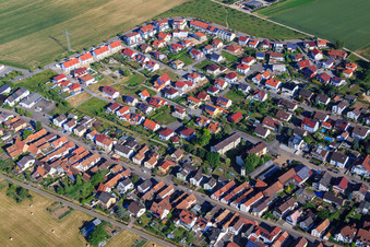 Aerial view of Vineyard Path in Kandel in the state Rhineland-Palatinate, Germany