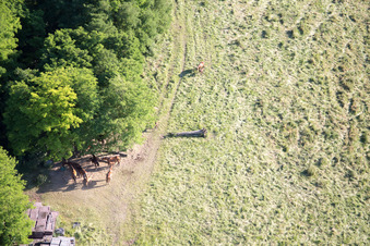 Neewiller-près-Lauterbourg in the state Bas-Rhin, France from the plane