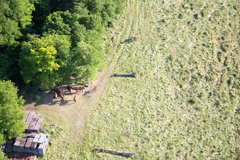 Bird's eye view of Neewiller-près-Lauterbourg in the state Bas-Rhin, France