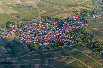 Village - view on the edge of wine yards in Schweigen in the state Rhineland-Palatinate, Germany