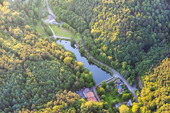 Swan Pond on Kurtalstraße (B427) in Bad Bergzabern in the state Rhineland-Palatinate, Germany