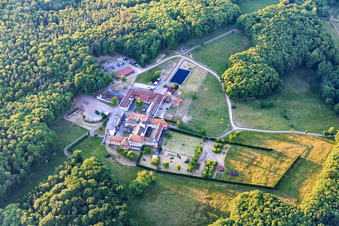 Bird's eye view of Horse boarding at the Liebfrauenberg Monastery in Bad Bergzabern in the state Rhineland-Palatinate, Germany