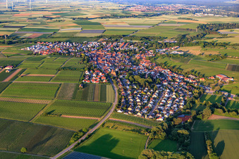 Aerial view of Village view from the west in Insheim in the state Rhineland-Palatinate, Germany