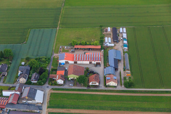 Matthias Knecht Agricultural Business in Herxheim bei Landau in the state Rhineland-Palatinate, Germany