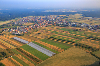 Overview of the town from the southeast in Hambrücken in the state Baden-Wuerttemberg, Germany