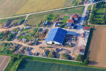 Ottersheim Queichtal Bears in Ottersheim bei Landau in the state Rhineland-Palatinate, Germany