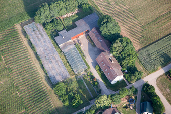 Ottersheim bei Landau in the state Rhineland-Palatinate, Germany out of the air
