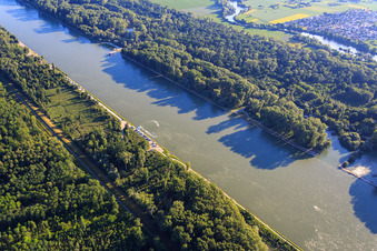 Aerial view of Water scooter vs. paraglider in or over the Rhine in the district Leopoldshafen in Eggenstein-Leopoldshafen in the state Baden-Wuerttemberg, Germany