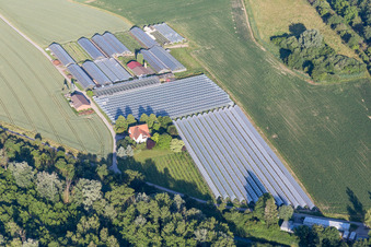 Aerial view of Glass roof surfaces in the greenhouse for vegetable growing ranks in the district Leopoldshafen in Eggenstein-Leopoldshafen in the state Baden-Wurttemberg, Germany
