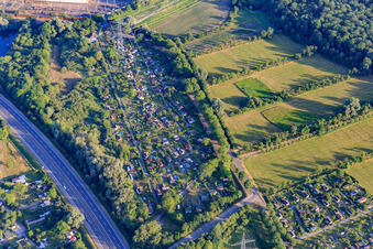 Allotment Association Am Kastanienbaum e. V. on the Südtangenete (B10) in the district Knielingen in Karlsruhe in the state Baden-Wuerttemberg, Germany