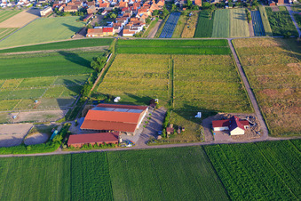 Horse boarding Seehof Trauth Kretz GbR in Hatzenbühl in the state Rhineland-Palatinate, Germany