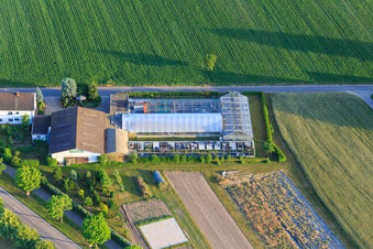 Felix Trauth Nursery in Hatzenbühl in the state Rhineland-Palatinate, Germany