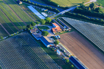 Zapf fresh vegetables in Kandel in the state Rhineland-Palatinate, Germany