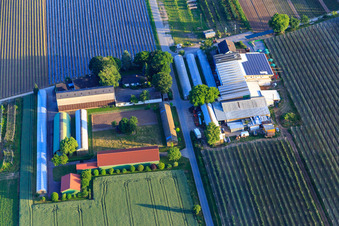 Zapf Farm Market in Kandel in the state Rhineland-Palatinate, Germany