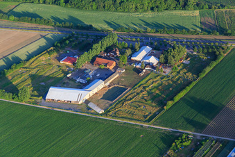 Aerial view of Southern Palatinate Football Golf Park in Adamshof Kandel in Kandel in the state Rhineland-Palatinate, Germany