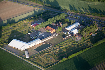 Tent of open-air restaurant Adamshof and foot golf   area Kandel in Kandel in the state Rhineland-Palatinate, Germany