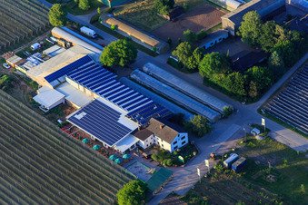 Aerial view of Zapf Farm Market in Kandel in the state Rhineland-Palatinate, Germany