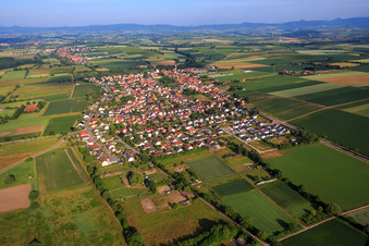 Village overview from the east in Minfeld in the state Rhineland-Palatinate, Germany