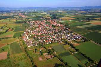 Aerial view of Village overview from the east in Minfeld in the state Rhineland-Palatinate, Germany
